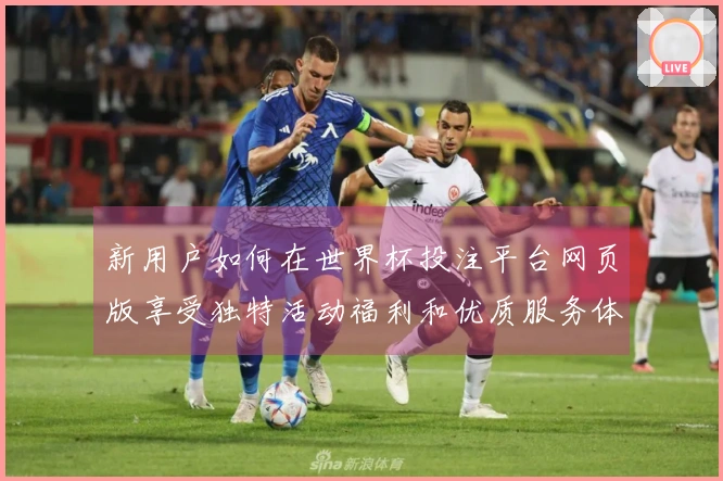 新用户如何在世界杯投注平台网页版享受独特活动福利和优质服务体验