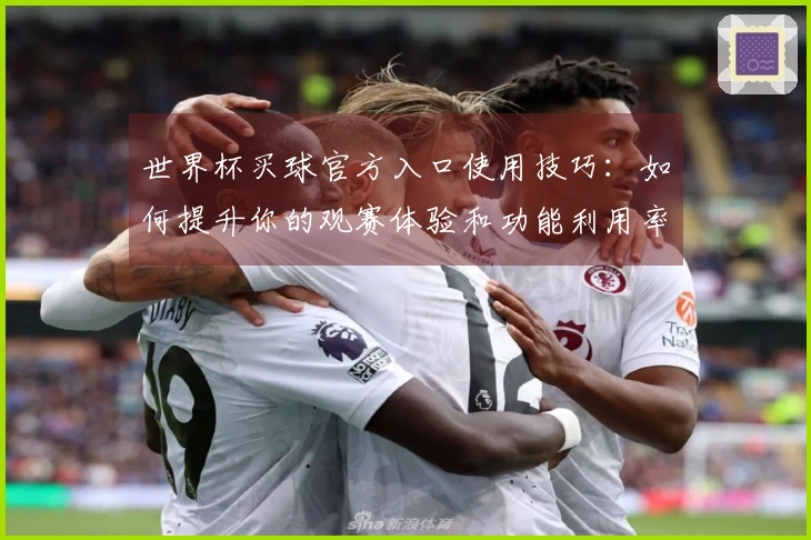 世界杯买球官方入口使用技巧：如何提升你的观赛体验和功能利用率