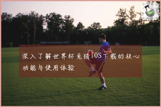 深入了解世界杯竞猜iOS下载的核心功能与使用体验
