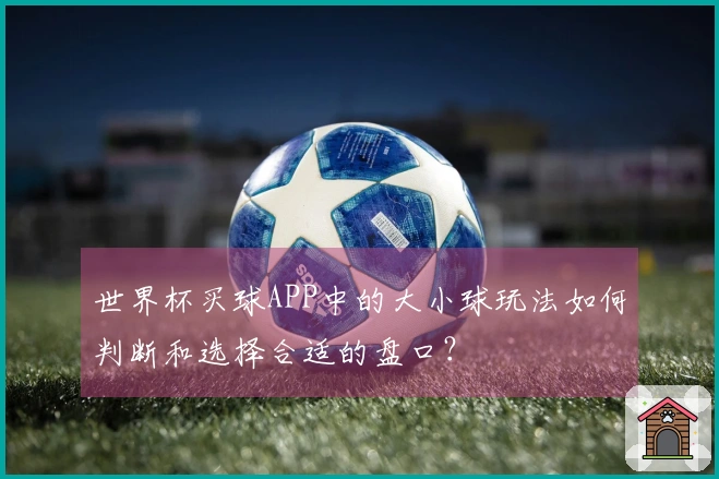 世界杯买球APP中的大小球玩法如何判断和选择合适的盘口？