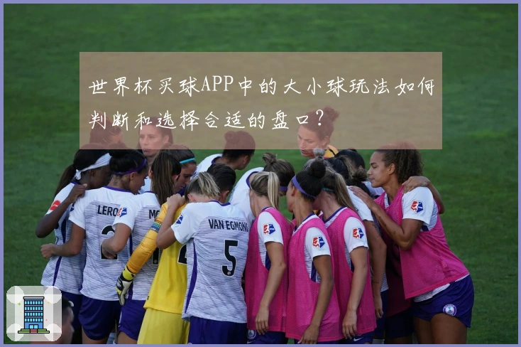 世界杯买球APP中的大小球玩法如何判断和选择合适的盘口?