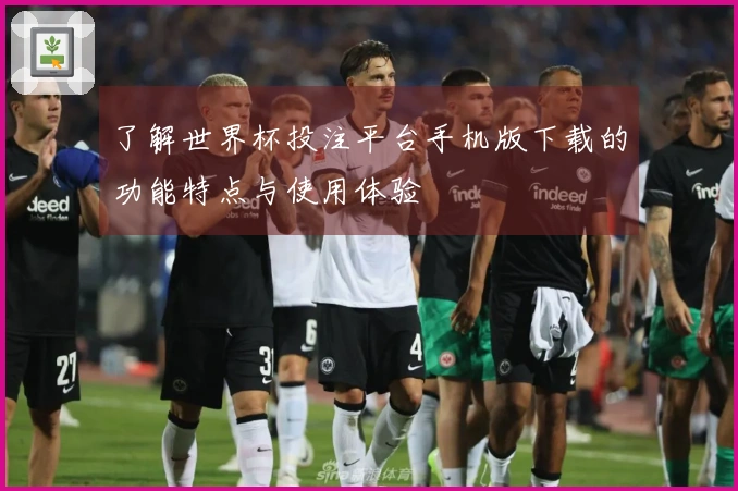 了解世界杯投注平台手机版下载的功能特点与使用体验