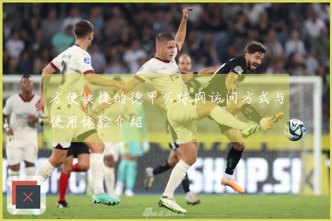 方便快捷的德甲买球网访问方式与使用体验介绍