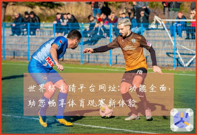 世界杯竞猜平台网址：功能全面，助您畅享体育观赛新体验