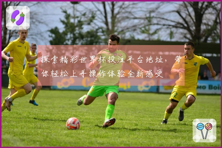 探索精彩世界杯投注平台地址，带你轻松上手操作体验全新感受