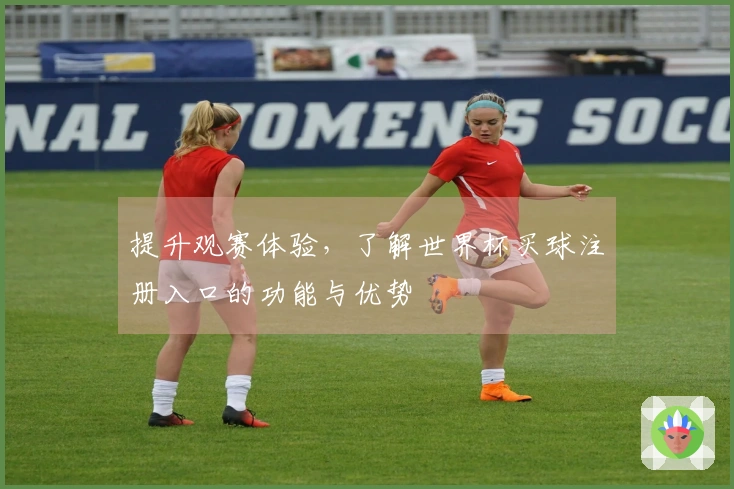 提升观赛体验，了解世界杯买球注册入口的功能与优势